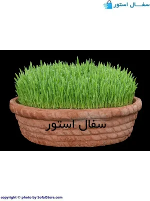 ظرف سبزه سفالی طرح سبدی